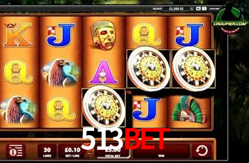 Interface Premium 513bet